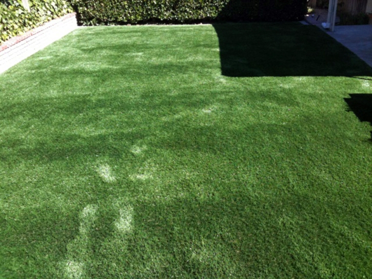 Synthetic Grass Rossmoor, California Pet Grass, Small Backyard Ideas