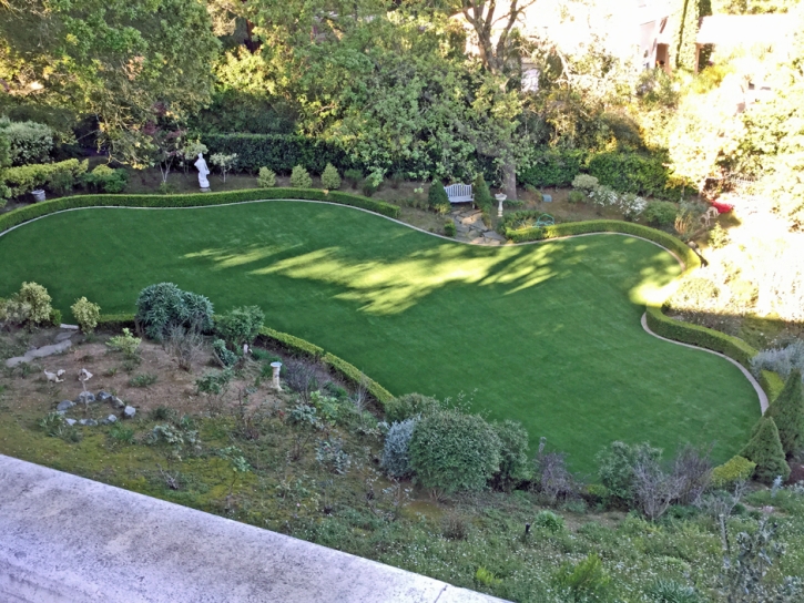 Synthetic Grass San Clemente, California City Landscape, Backyard Landscaping