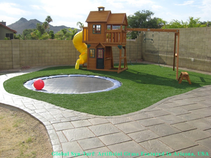 Synthetic Lawn Buena Park, California Rooftop, Backyard Landscape Ideas