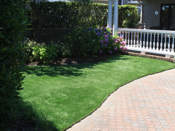 Synthetic Lawn Fullerton, California Grass For Dogs, Front Yard