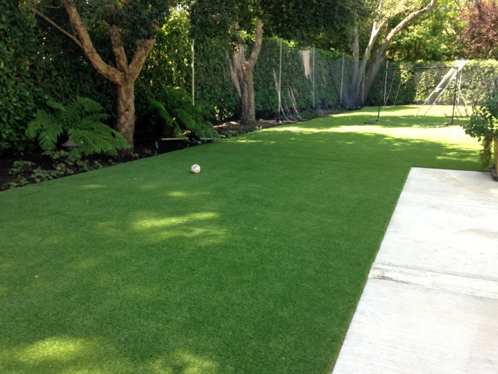 Synthetic Lawn Ladera Ranch, California Grass For Dogs