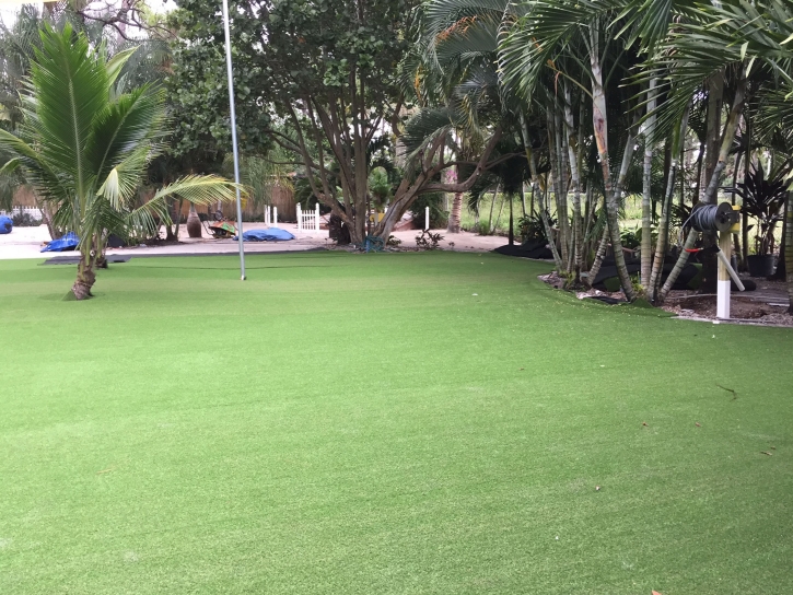 Synthetic Lawn Portola Hills, California Landscape Design, Commercial Landscape