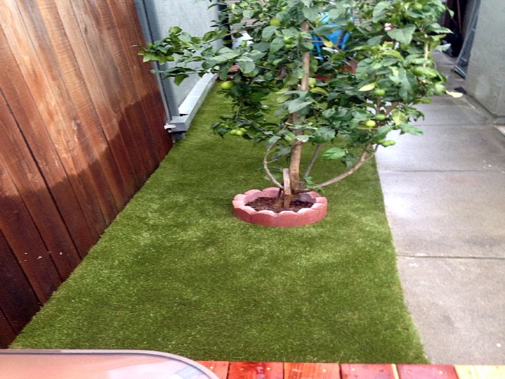 Synthetic Lawn Rancho Santa Margarita, California Fake Grass For Dogs, Backyard Landscaping