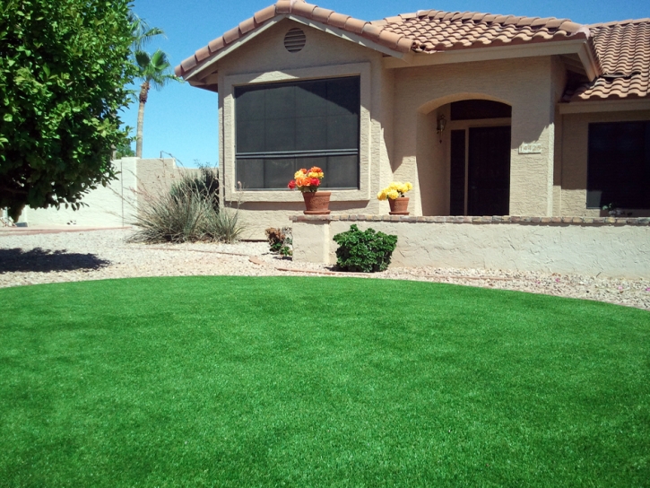 Synthetic Lawn Trabuco Canyon, California Backyard Deck Ideas, Front Yard Landscaping Ideas