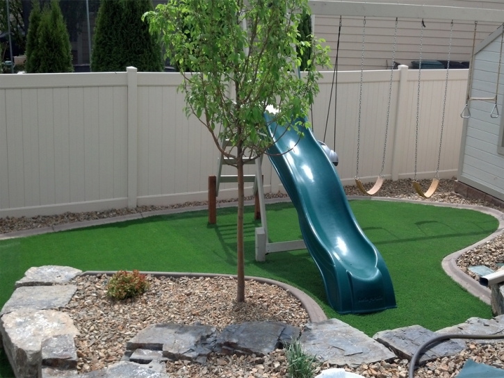Synthetic Lawn Westminster, California Landscaping Business, Backyard Landscape Ideas