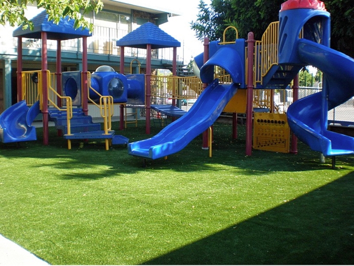 Synthetic Turf Dana Point, California Landscaping Business, Commercial Landscape