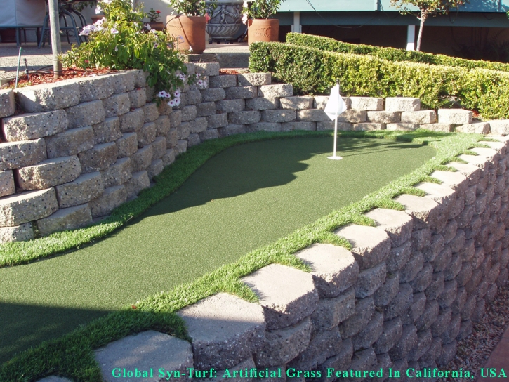 Synthetic Turf Garden Grove, California Design Ideas, Backyard Designs