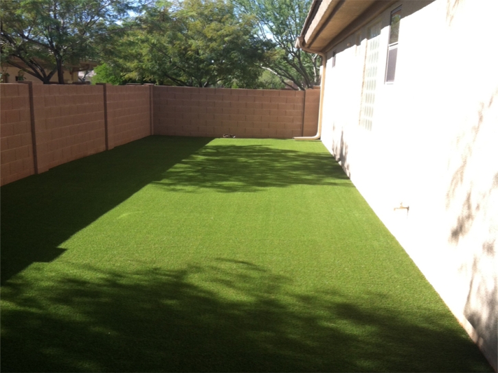 Synthetic Turf Garden Grove, California Design Ideas, Front Yard Landscape Ideas