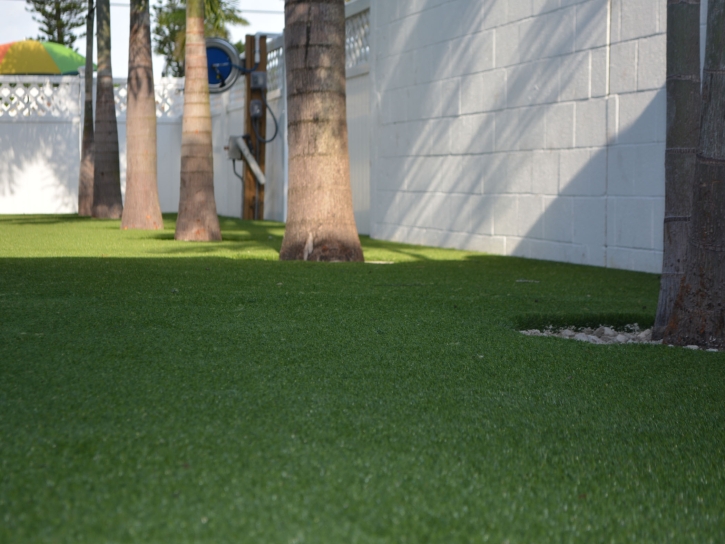 Synthetic Turf La Habra, California Home And Garden, Commercial Landscape