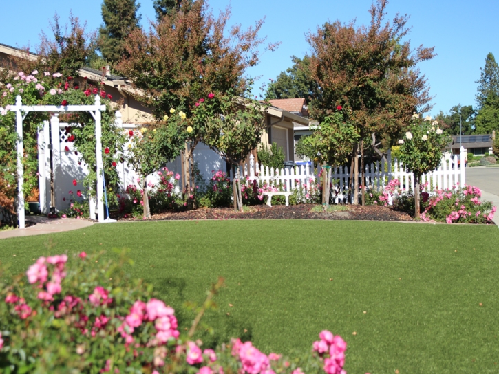 Synthetic Turf Ladera Ranch, California Lawn And Landscape, Front Yard Design