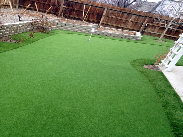 Synthetic Turf Laguna Beach, California Home And Garden, Backyard Designs