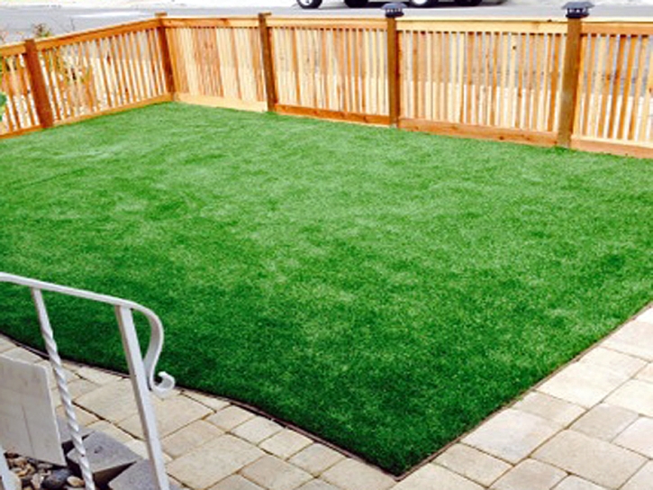 Synthetic Turf Laguna Niguel, California City Landscape, Backyard Garden Ideas