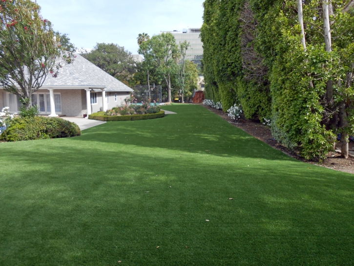 Synthetic Turf Newport Beach, California Backyard Playground, Small Front Yard Landscaping