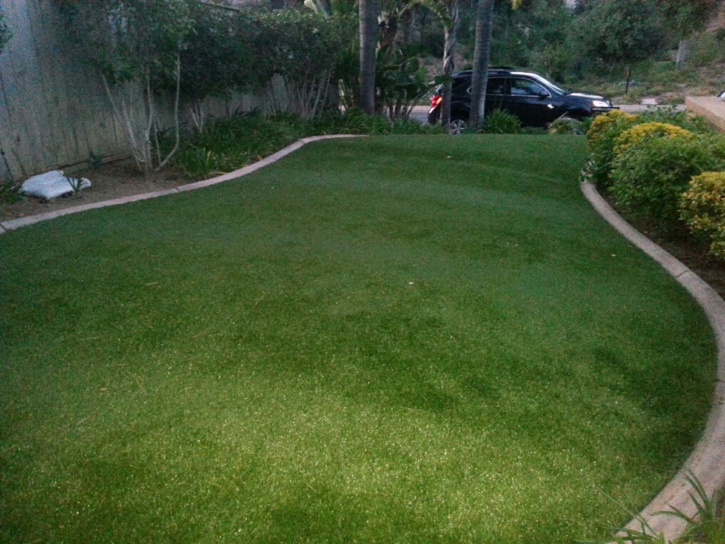 Synthetic Turf Supplier Las Flores, California Roof Top, Front Yard Design