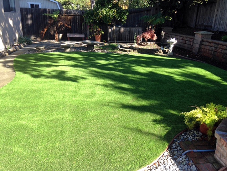 Synthetic Turf Supplier Placentia, California Grass For Dogs, Backyard Landscaping