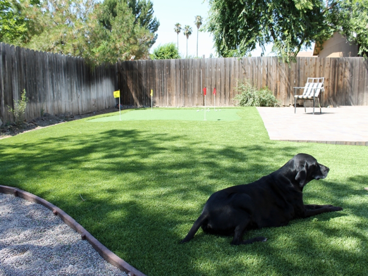 Synthetic Turf Supplier Portola Hills, California Garden Ideas, Backyard Landscaping