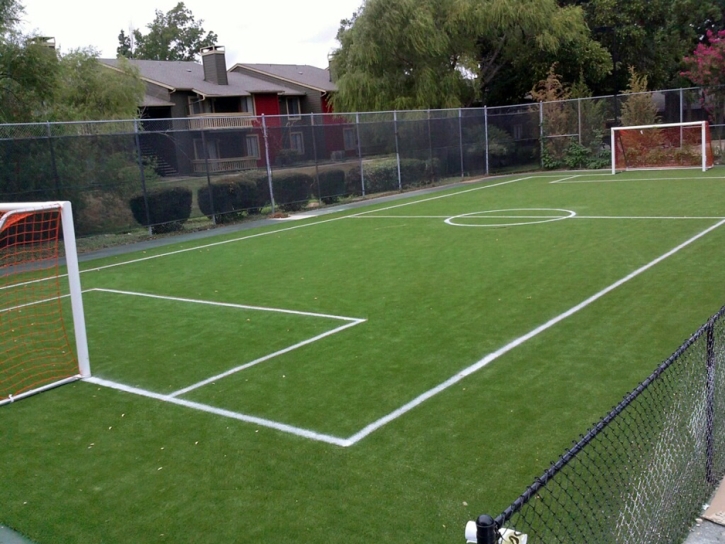 Synthetic Turf Supplier San Joaquin Hills, California Sports Athority, Commercial Landscape