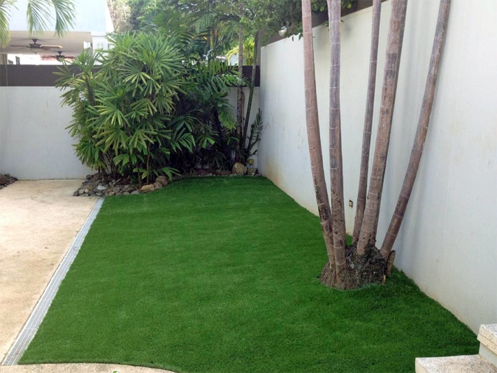 Synthetic Turf Supplier Seal Beach, California Backyard Deck Ideas, Beautiful Backyards
