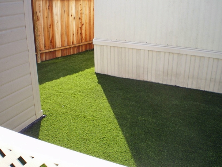 Synthetic Turf Supplier Trabuco Canyon, California Dogs, Backyard Makeover