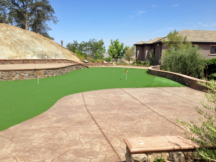 Turf Grass La Habra, California Artificial Putting Greens, Backyard Landscape Ideas