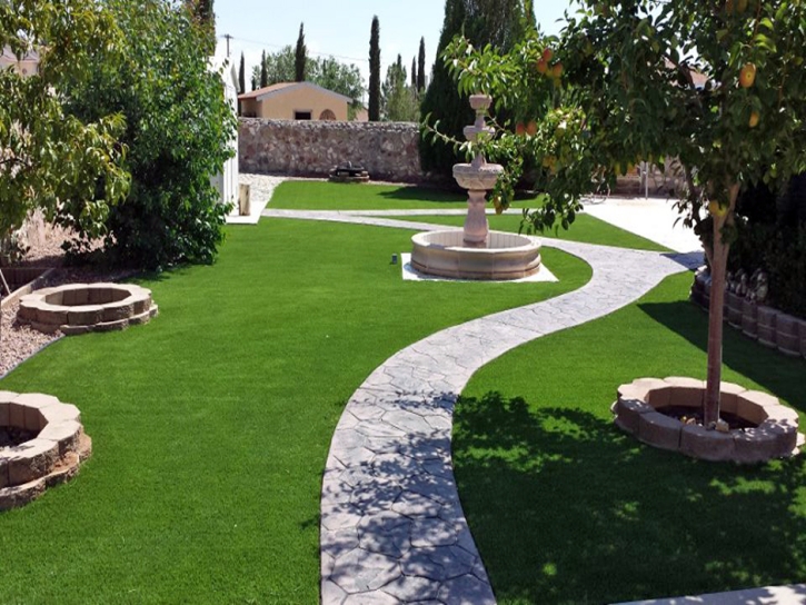 Turf Grass Laguna Niguel, California Landscaping Business, Backyard Landscape Ideas