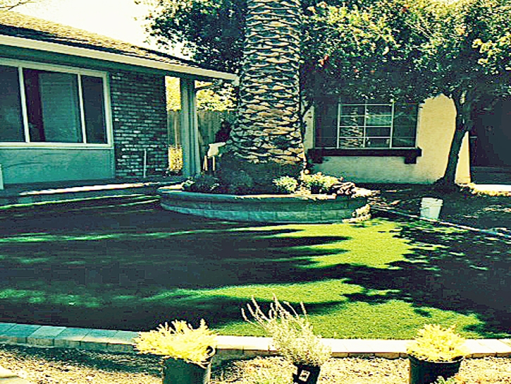 Turf Grass Midway City, California Landscape Ideas, Front Yard Design