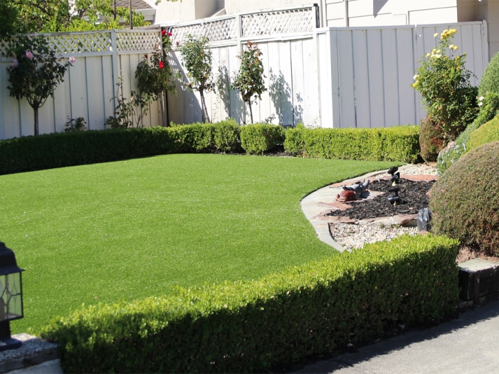 Turf Grass North Tustin, California Landscape Photos, Front Yard Ideas