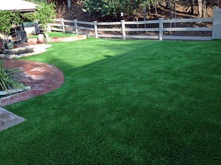 Turf Grass Tustin, California Pet Turf, Backyards